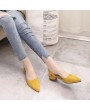 Tip-toed Women Shoes Flat Heel Female Sandals Lady Casual Shoes Strappy Shoes